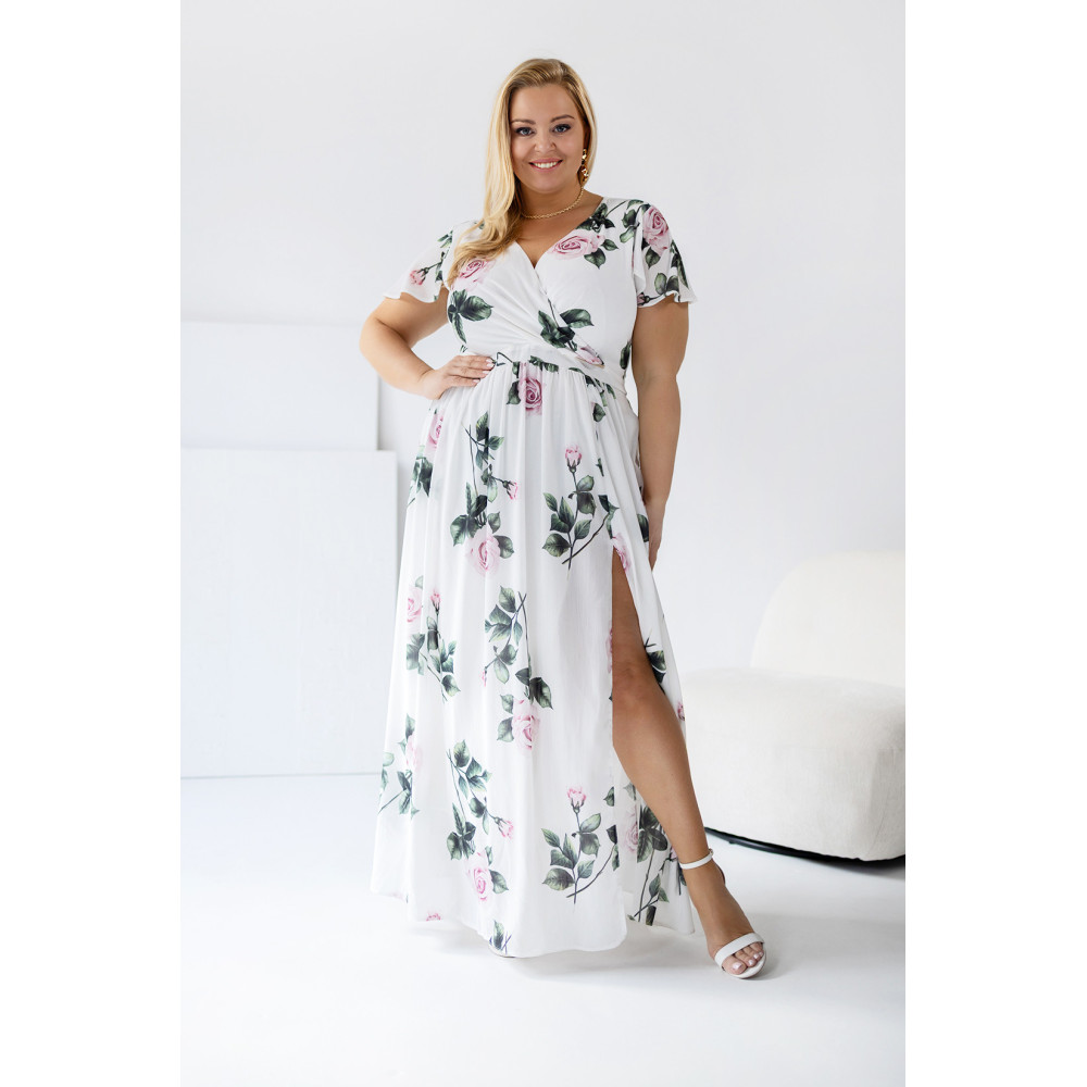 Hummingbird - Vector graphics