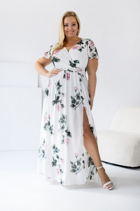 Hummingbird - Vector graphics